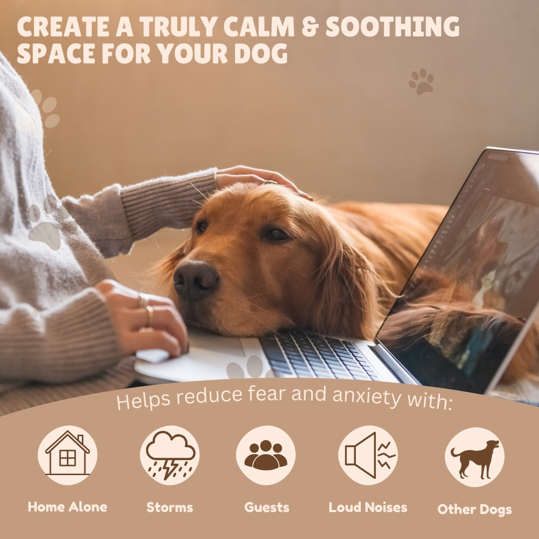 PheroEase™ – Calming Diffuser Kit