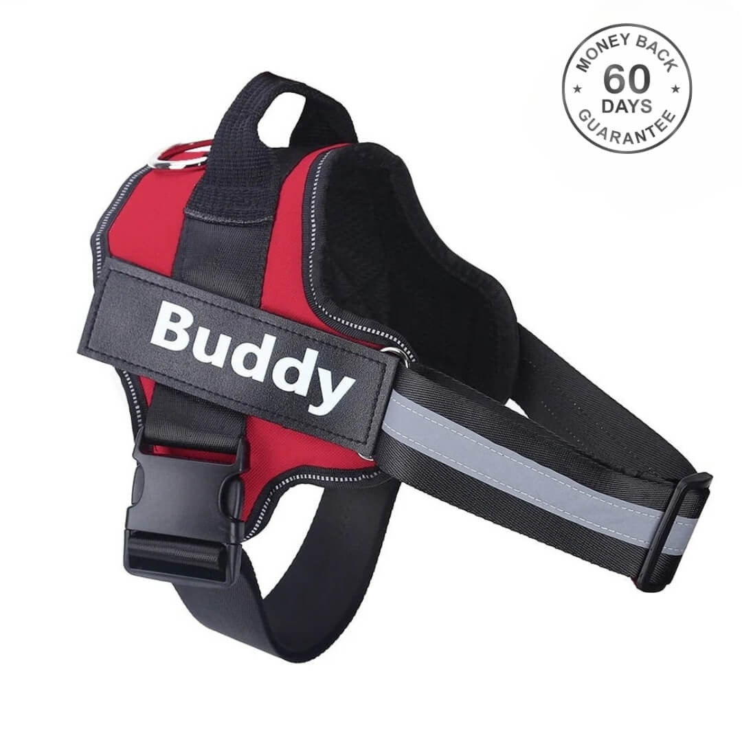PullGuard Harness Pro