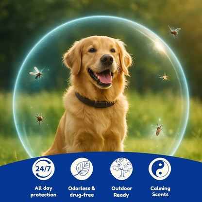 Fleexon™  12 Month Flea & Tick Shield