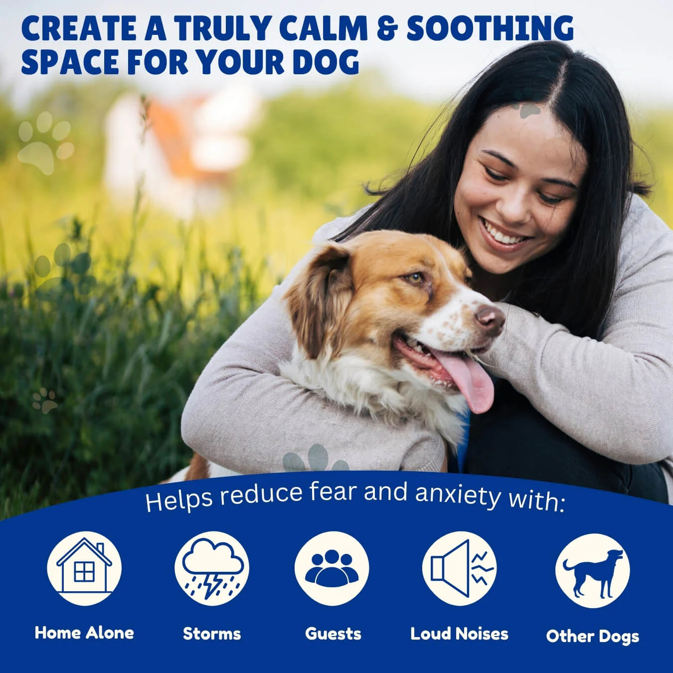 Fleexon™  12 Month Flea & Tick Shield