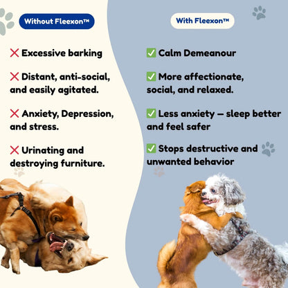 Fleexon™  12 Month Flea & Tick Shield