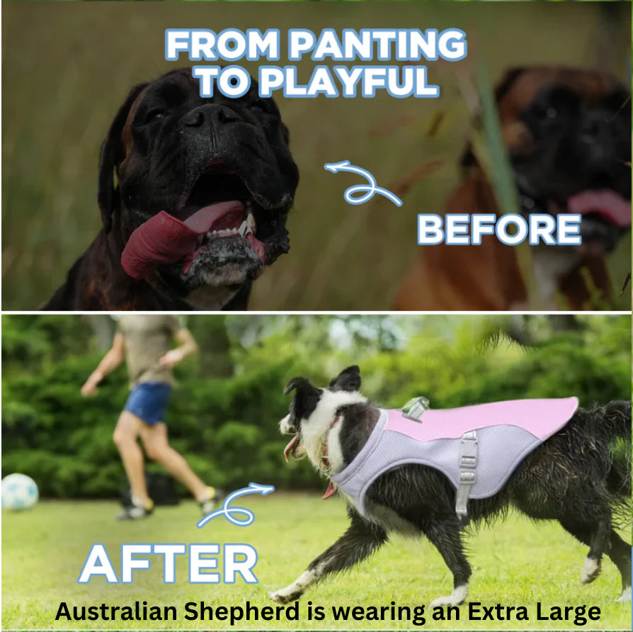 Freshy™ Dog Cooling Vest