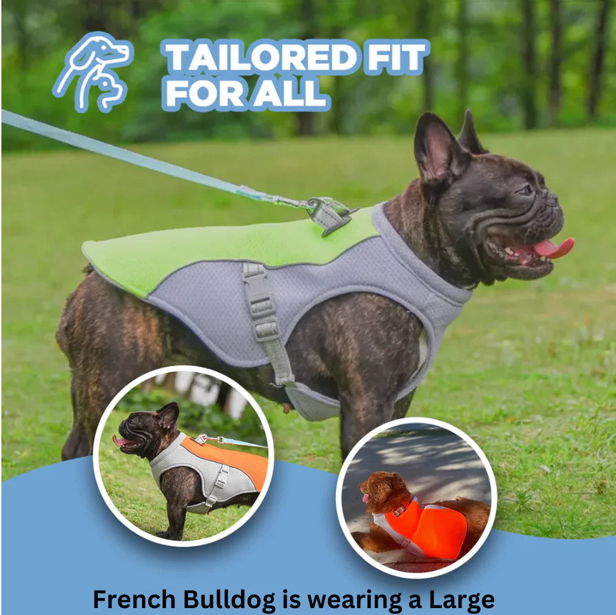 Freshy™ Dog Cooling Vest