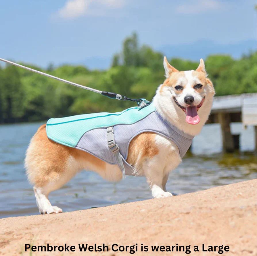 Freshy™ Dog Cooling Vest
